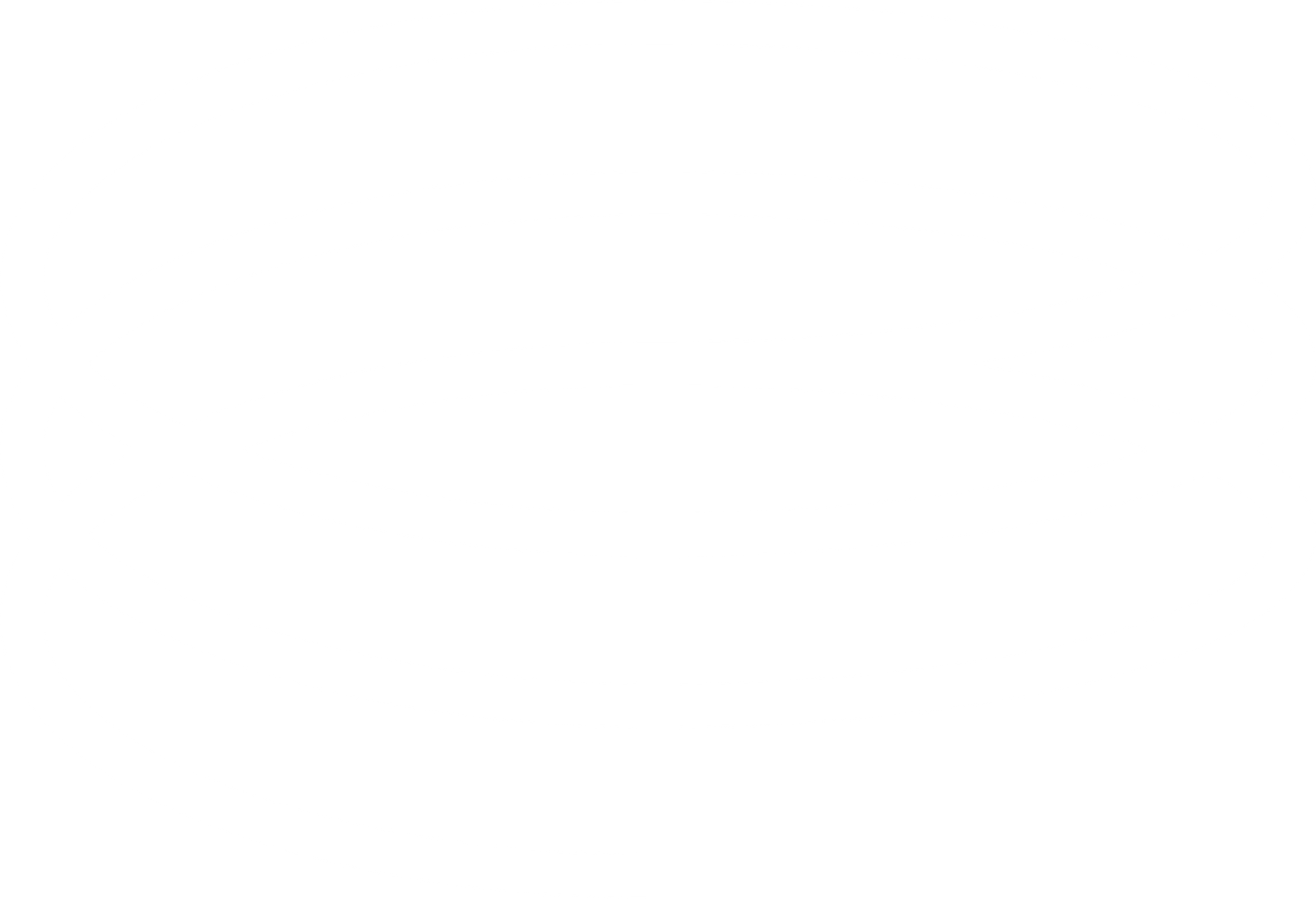 raydian.io